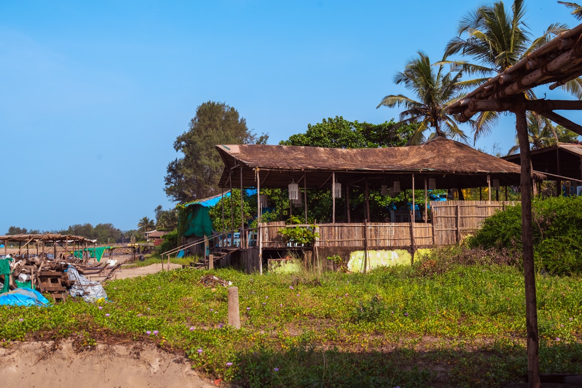 Mandrem beach in Goa