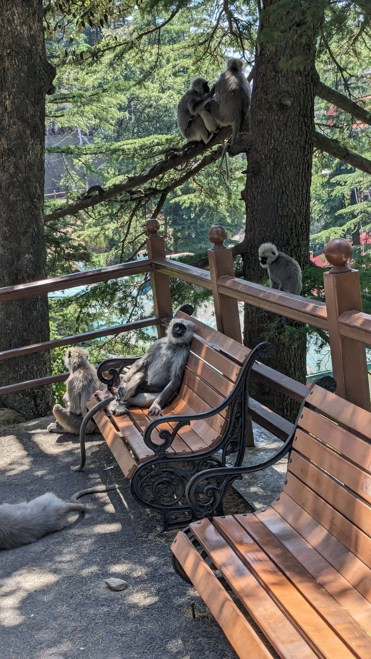 Wildlife Sanctuary